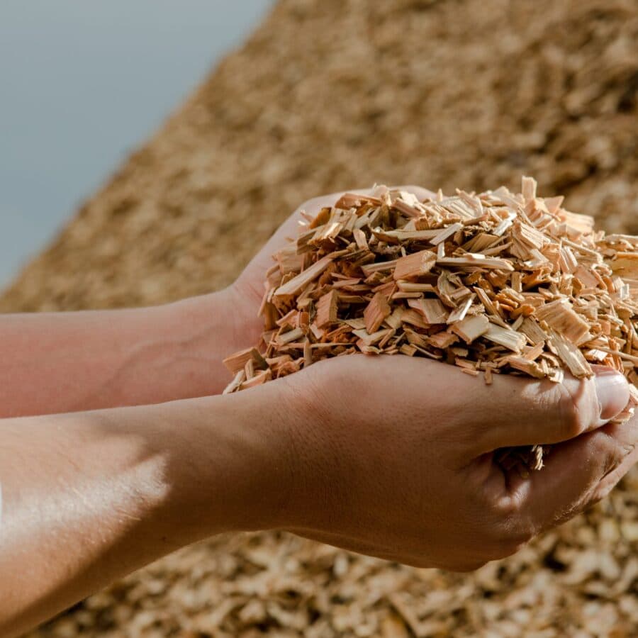 Manos sosteniendo chip de madera producido por una chipeadora PALTO