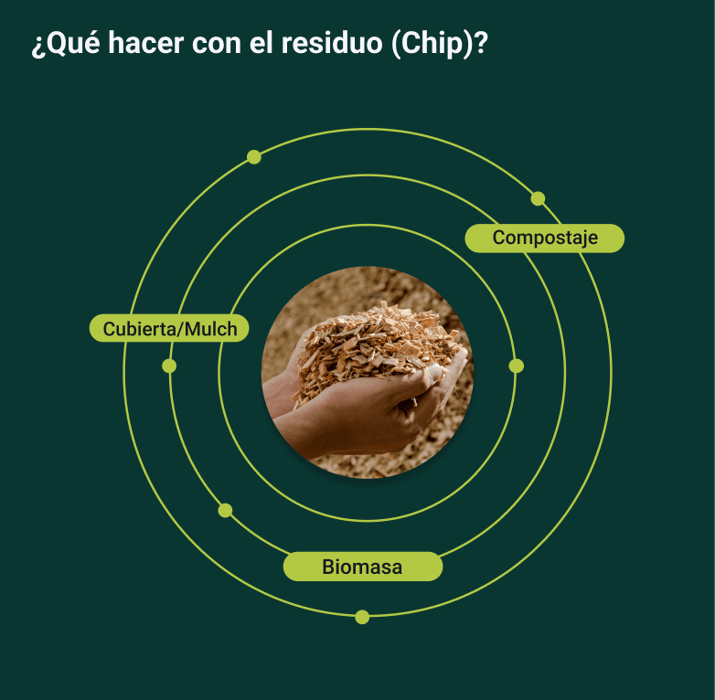 Publicación 2 del Instagram de PALTO