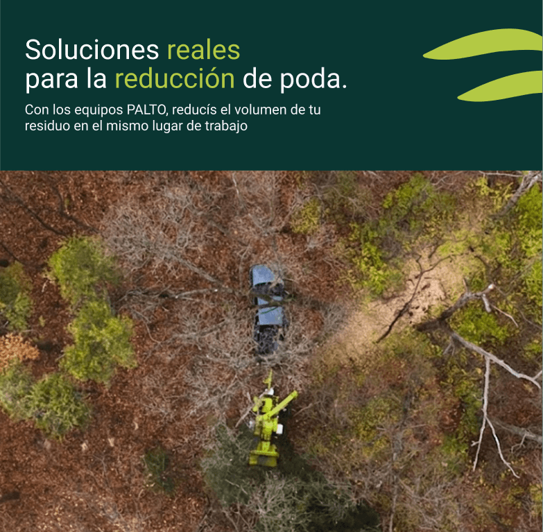 Publicación 4 del Instagram de PALTO